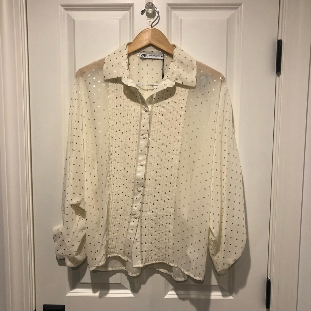 Zara Sheer Polka Dot Blouse - Picture 5 of 9